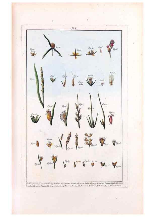 Reproducción/Reproduction 48975262778: Le grand jardin de l'univers,. Paris,Chez l'auteur,1785-1791.. 