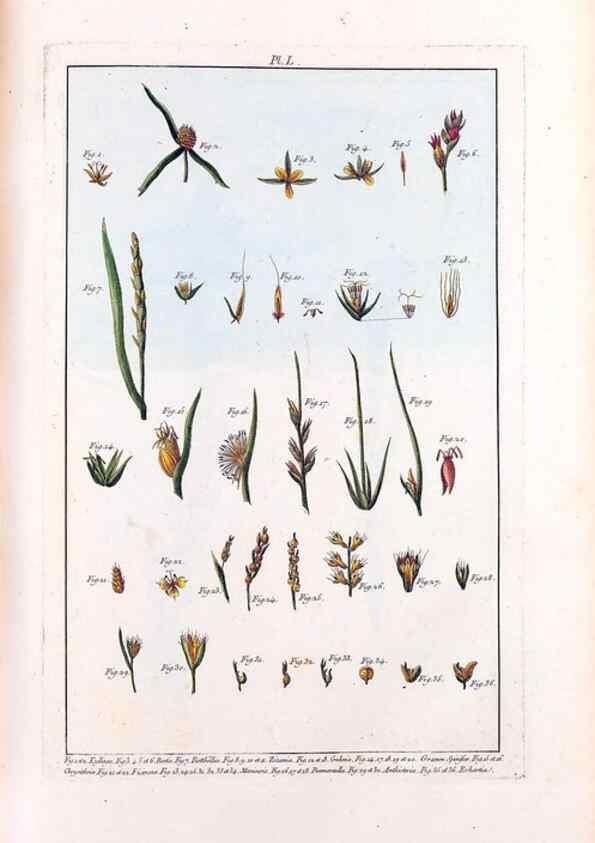 Reproducción/Reproduction 48975262778: Le grand jardin de l'univers,. Paris,Chez l'auteur,1785-1791.. 