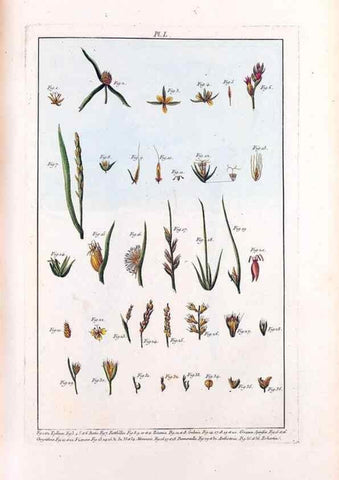 Reproducción/Reproduction 48975262778: Le grand jardin de l'univers,. Paris,Chez l'auteur,1785-1791.. 