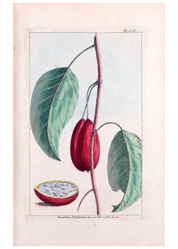 Reproducción/Reproduction 48975813706: Le grand jardin de l'univers,. Paris,Chez l'auteur,1785-1791.. 