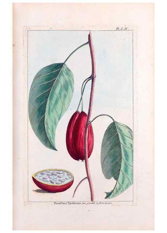 Reproducción/Reproduction 48975813706: Le grand jardin de l'univers,. Paris,Chez l'auteur,1785-1791.. 