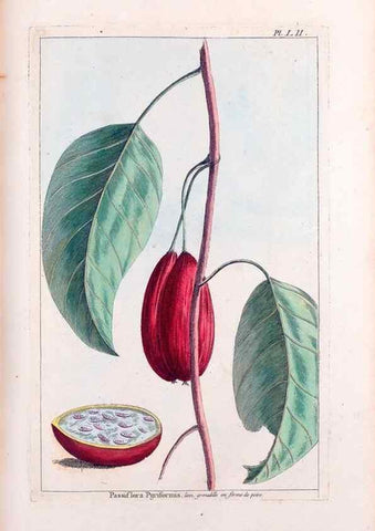 Reproducción/Reproduction 48975813706: Le grand jardin de l'univers,. Paris,Chez l'auteur,1785-1791.. 