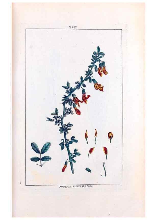 Reproducción/Reproduction 48975814096: Le grand jardin de l'univers,. Paris,Chez l'auteur,1785-1791.. 