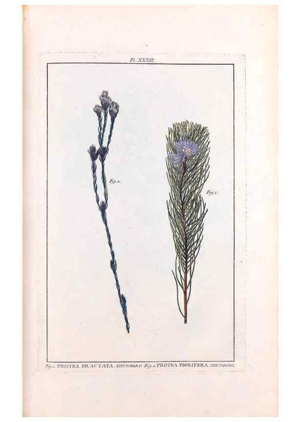 Reproducción/Reproduction 48975264528: Le grand jardin de l'univers,. Paris,Chez l'auteur,1785-1791.. 