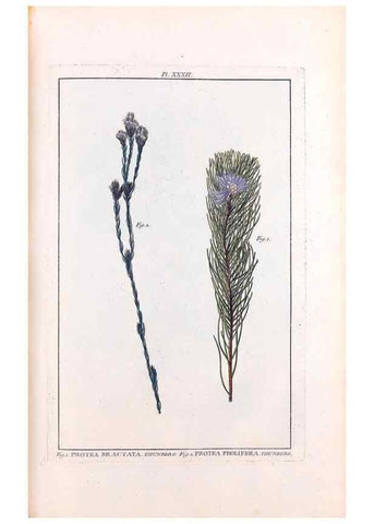 Reproducción/Reproduction 48975264528: Le grand jardin de l'univers,. Paris,Chez l'auteur,1785-1791.. 
