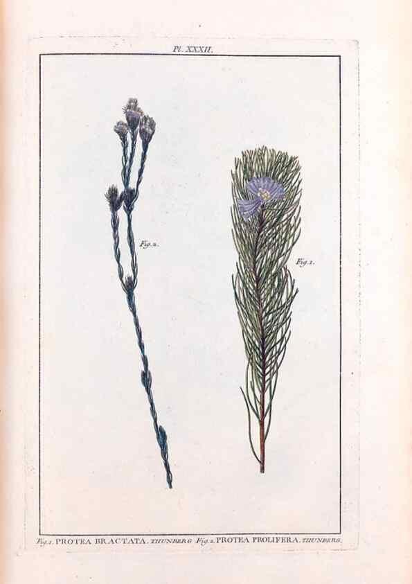Reproducción/Reproduction 48975264528: Le grand jardin de l'univers,. Paris,Chez l'auteur,1785-1791.. 