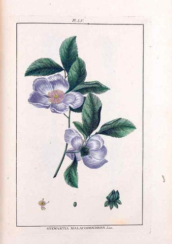 Reproducción/Reproduction 48975264938: Le grand jardin de l'univers,. Paris,Chez l'auteur,1785-1791.. 