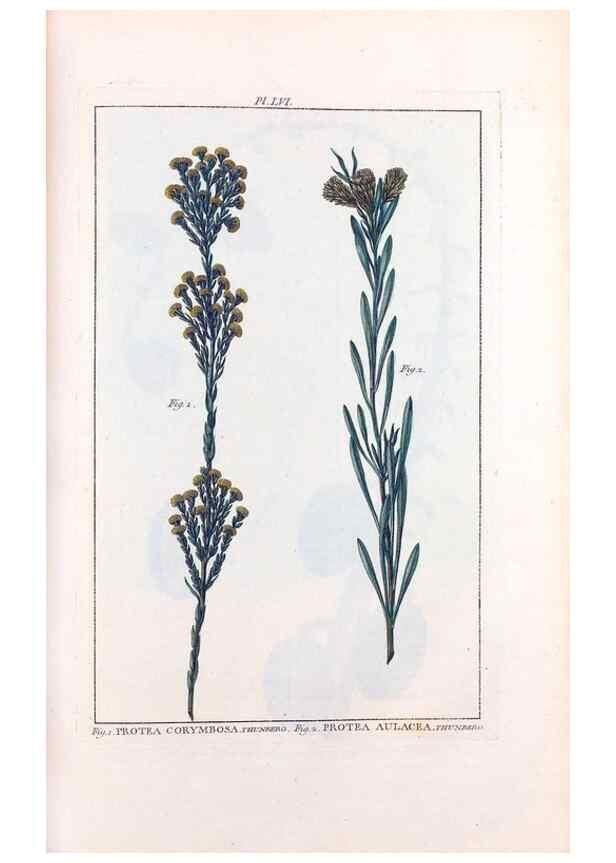 Reproducción/Reproduction 48975815091: Le grand jardin de l'univers,. Paris,Chez l'auteur,1785-1791.. 