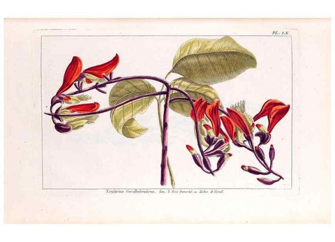 Reproducción/Reproduction 48975816876: Le grand jardin de l'univers,. Paris,Chez l'auteur,1785-1791.. 