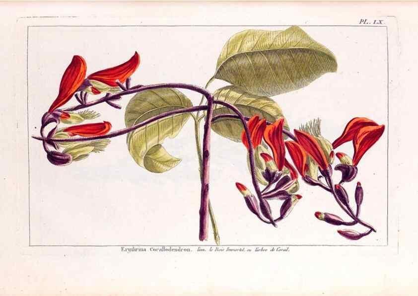 Reproducción/Reproduction 48975816876: Le grand jardin de l'univers,. Paris,Chez l'auteur,1785-1791.. 