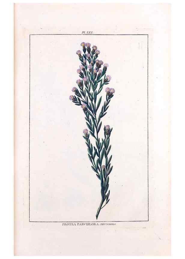 Reproducción/Reproduction 48975267553: Le grand jardin de l'univers,. Paris,Chez l'auteur,1785-1791.. 