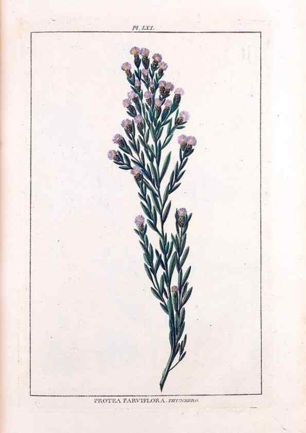 Reproducción/Reproduction 48975267553: Le grand jardin de l'univers,. Paris,Chez l'auteur,1785-1791.. 
