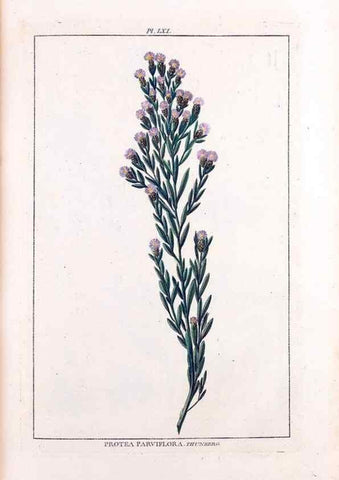 Reproducción/Reproduction 48975267553: Le grand jardin de l'univers,. Paris,Chez l'auteur,1785-1791.. 