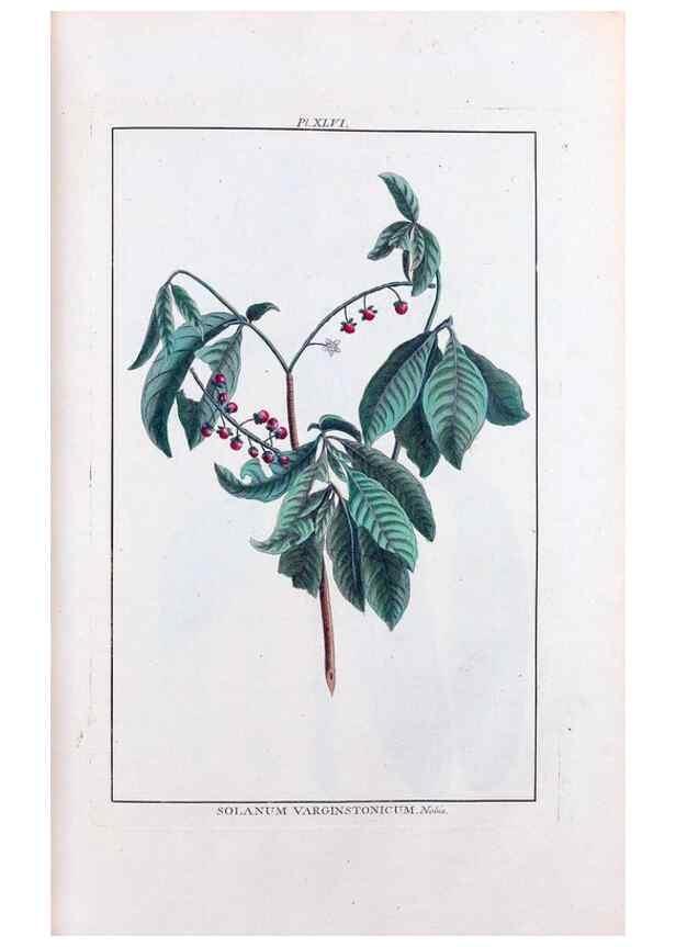 Reproducción/Reproduction 48975810736: Le grand jardin de l'univers,. Paris,Chez l'auteur,1785-1791.. 