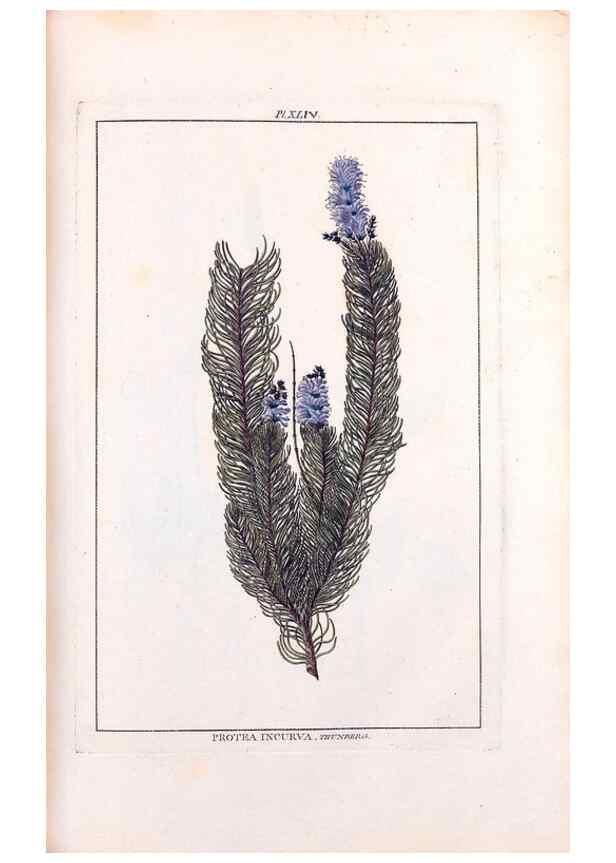 Reproducción/Reproduction 48975809886: Le grand jardin de l'univers,. Paris,Chez l'auteur,1785-1791.. 