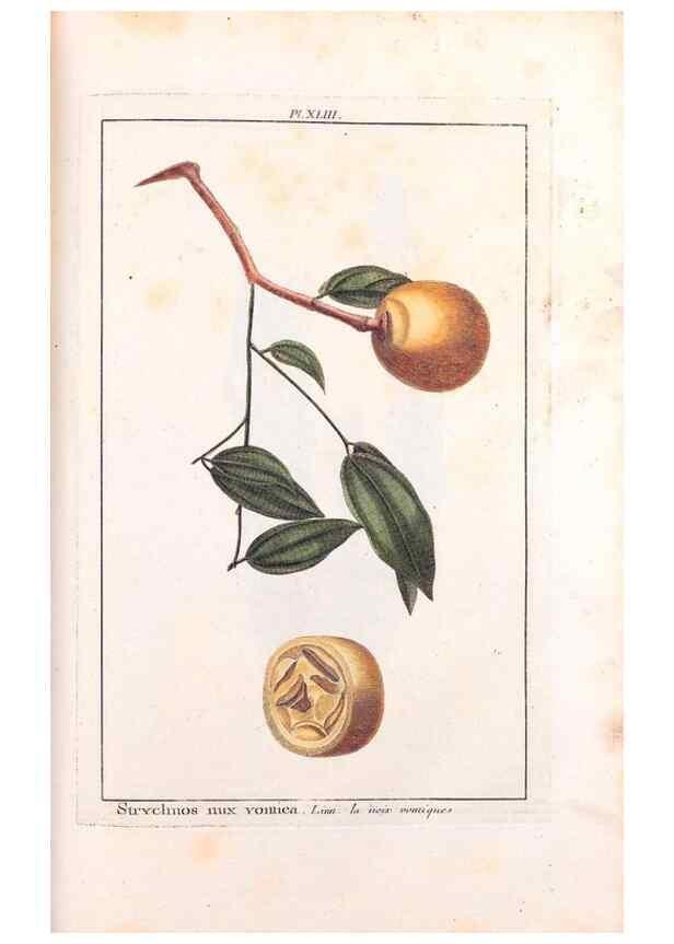 Reproducción/Reproduction 48975990447: Le grand jardin de l'univers,. Paris,Chez l'auteur,1785-1791.. 