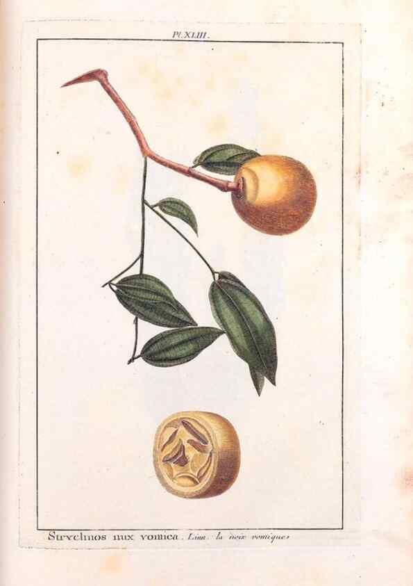 Reproducción/Reproduction 48975990447: Le grand jardin de l'univers,. Paris,Chez l'auteur,1785-1791.. 