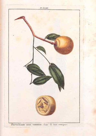 Reproducción/Reproduction 48975990447: Le grand jardin de l'univers,. Paris,Chez l'auteur,1785-1791.. 