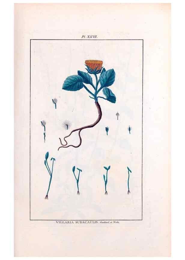 Reproducción/Reproduction 48975252373: Le grand jardin de l'univers,. Paris,Chez l'auteur,1785-1791.. 