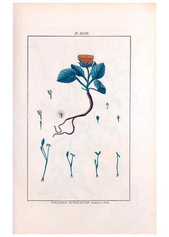 Reproducción/Reproduction 48975252373: Le grand jardin de l'univers,. Paris,Chez l'auteur,1785-1791.. 