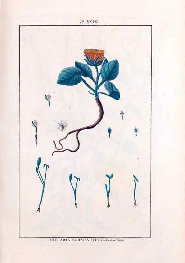 Reproducción/Reproduction 48975252373: Le grand jardin de l'univers,. Paris,Chez l'auteur,1785-1791.. 