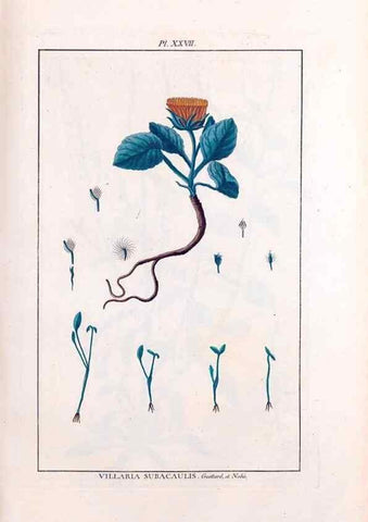 Reproducción/Reproduction 48975252373: Le grand jardin de l'univers,. Paris,Chez l'auteur,1785-1791.. 