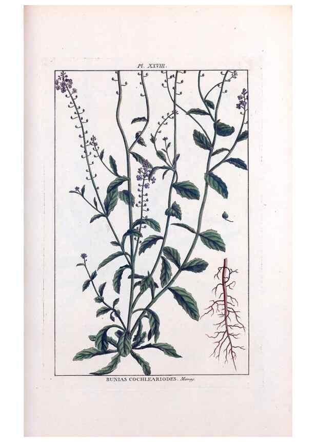 Reproducción/Reproduction 48975983702: Le grand jardin de l'univers,. Paris,Chez l'auteur,1785-1791.. 