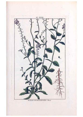 Reproducción/Reproduction 48975983702: Le grand jardin de l'univers,. Paris,Chez l'auteur,1785-1791.. 