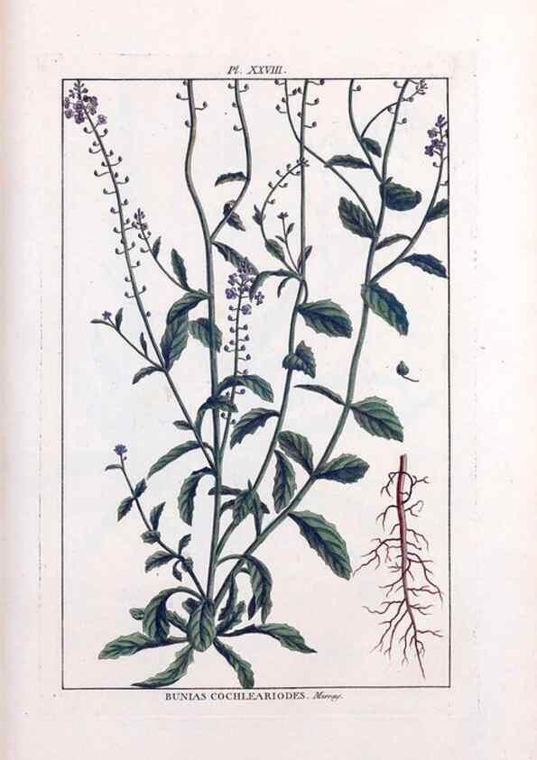Reproducción/Reproduction 48975983702: Le grand jardin de l'univers,. Paris,Chez l'auteur,1785-1791.. 