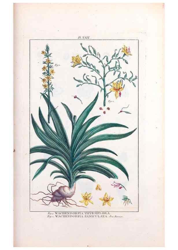 Reproducción/Reproduction 48975253383: Le grand jardin de l'univers,. Paris,Chez l'auteur,1785-1791.. 