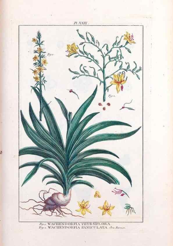 Reproducción/Reproduction 48975253383: Le grand jardin de l'univers,. Paris,Chez l'auteur,1785-1791.. 
