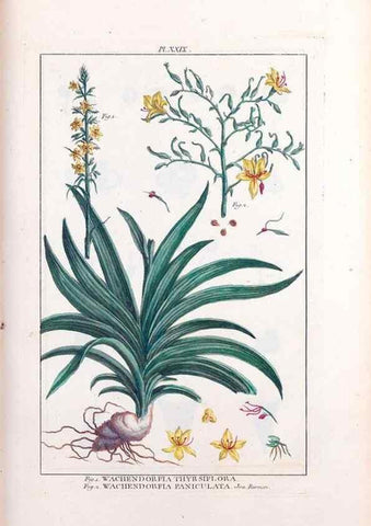 Reproducción/Reproduction 48975253383: Le grand jardin de l'univers,. Paris,Chez l'auteur,1785-1791.. 