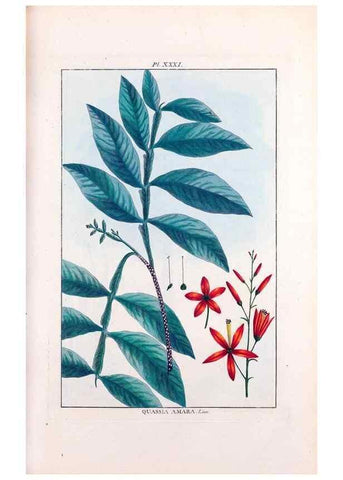 Reproducción/Reproduction 48975804176: Le grand jardin de l'univers,. Paris,Chez l'auteur,1785-1791.. 
