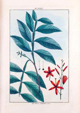 Reproducción/Reproduction 48975804176: Le grand jardin de l'univers,. Paris,Chez l'auteur,1785-1791.. 