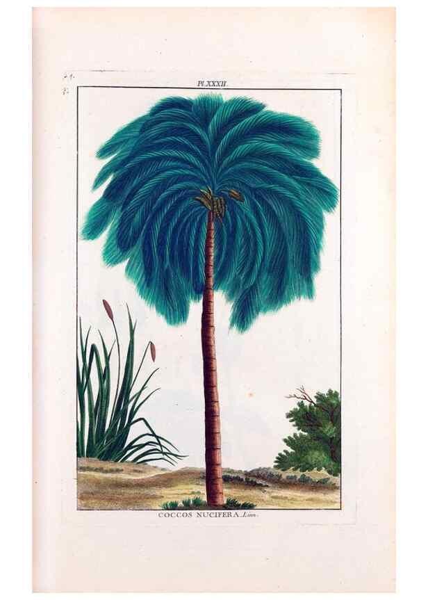 Reproducción/Reproduction 48975804676: Le grand jardin de l'univers,. Paris,Chez l'auteur,1785-1791.. 