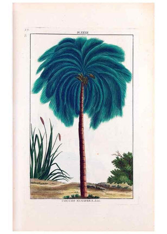 Reproducción/Reproduction 48975804676: Le grand jardin de l'univers,. Paris,Chez l'auteur,1785-1791.. 