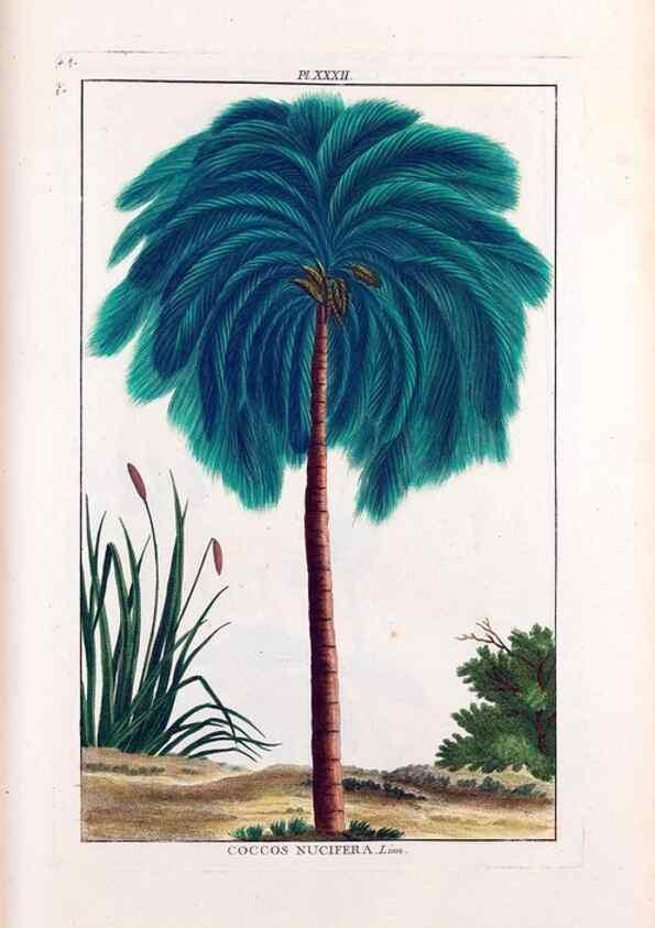 Reproducción/Reproduction 48975804676: Le grand jardin de l'univers,. Paris,Chez l'auteur,1785-1791.. 