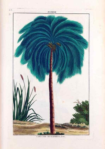 Reproducción/Reproduction 48975804676: Le grand jardin de l'univers,. Paris,Chez l'auteur,1785-1791.. 