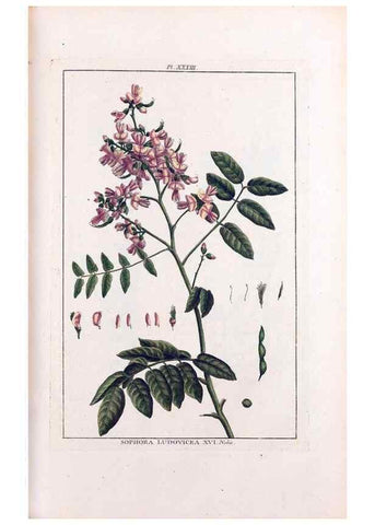 Reproducción/Reproduction 48975985962: Le grand jardin de l'univers,. Paris,Chez l'auteur,1785-1791.. 