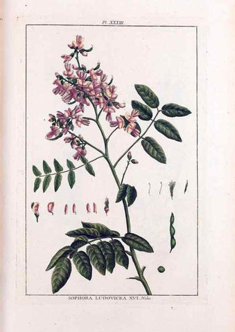 Reproducción/Reproduction 48975985962: Le grand jardin de l'univers,. Paris,Chez l'auteur,1785-1791.. 