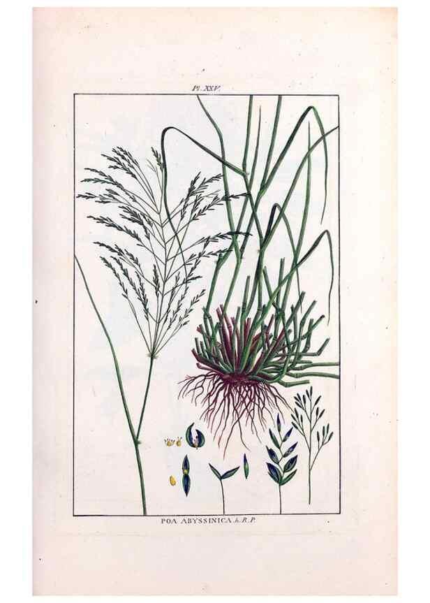 Reproducción/Reproduction 48975794661: Le grand jardin de l'univers,. Paris,Chez l'auteur,1785-1791.. 