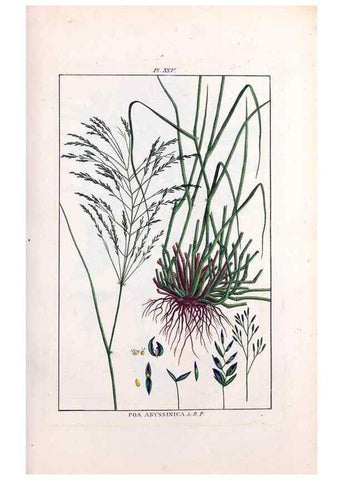 Reproducción/Reproduction 48975794661: Le grand jardin de l'univers,. Paris,Chez l'auteur,1785-1791.. 