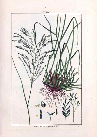 Reproducción/Reproduction 48975794661: Le grand jardin de l'univers,. Paris,Chez l'auteur,1785-1791.. 