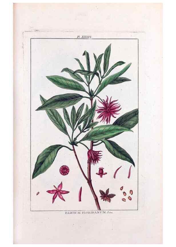 Reproducción/Reproduction 48975806186: Le grand jardin de l'univers,. Paris,Chez l'auteur,1785-1791.. 