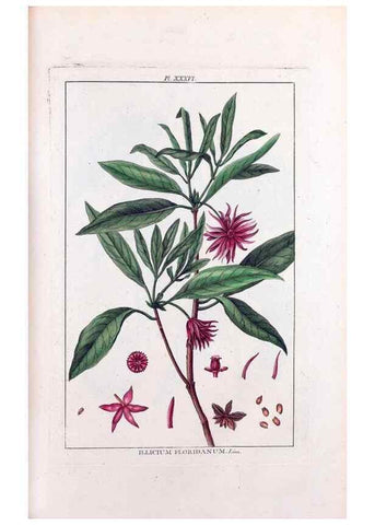 Reproducción/Reproduction 48975806186: Le grand jardin de l'univers,. Paris,Chez l'auteur,1785-1791.. 