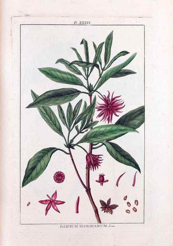 Reproducción/Reproduction 48975806186: Le grand jardin de l'univers,. Paris,Chez l'auteur,1785-1791.. 