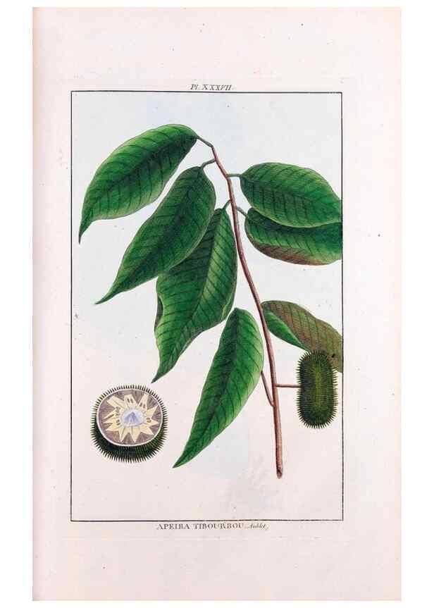 Reproducción/Reproduction 48975257028: Le grand jardin de l'univers,. Paris,Chez l'auteur,1785-1791.. 