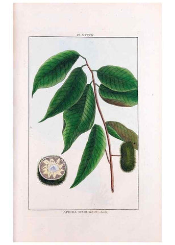 Reproducción/Reproduction 48975257028: Le grand jardin de l'univers,. Paris,Chez l'auteur,1785-1791.. 