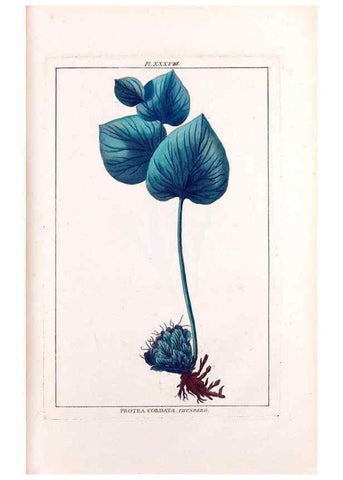 Reproducción/Reproduction 48975807126: Le grand jardin de l'univers,. Paris,Chez l'auteur,1785-1791.. 