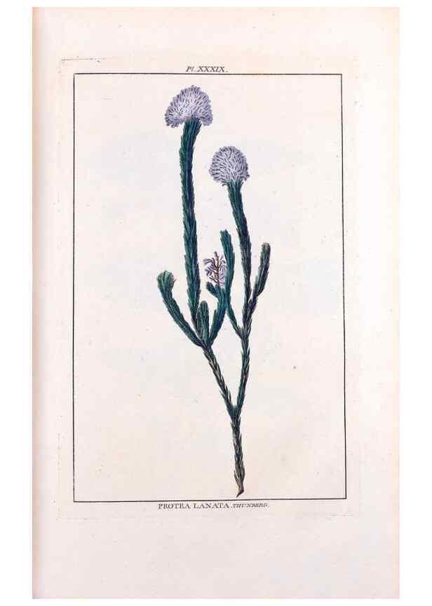 Reproducción/Reproduction 48975988512: Le grand jardin de l'univers,. Paris,Chez l'auteur,1785-1791.. 